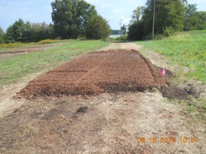 Finished plot - note expansion of decompacted soil - bulking factor ~25-35%